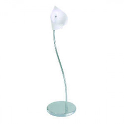 Bifull Supporto da Terra Tulipano