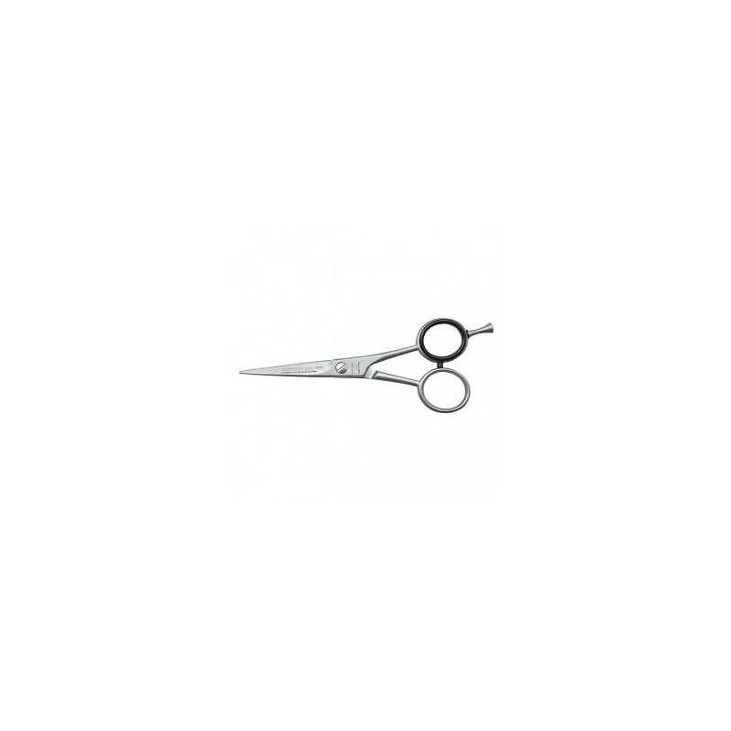 Bifull Scissor Ipsum 6"