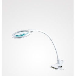 Lampada Led a Clip Gufo Perfetta Bellezza