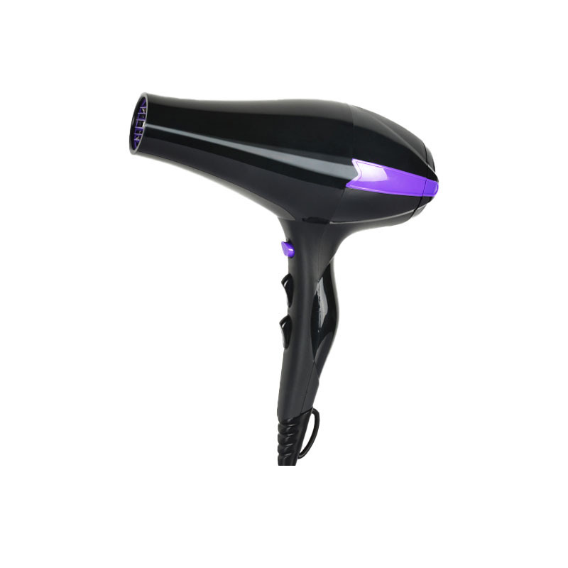 Bellezza Perfetta Asciugacapelli Professionale Ionico Ionic R-3900