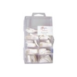 Thuya Punte Bianche (100u)