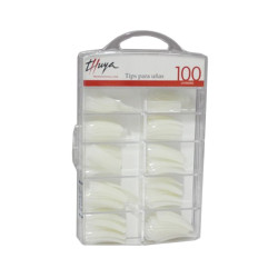 Thuya Scatola Punte (100u)