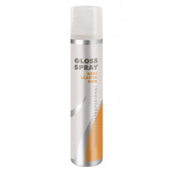 Torroglosa Miscellanea Spray Lucido (200ml)