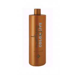 Torroglosa Tecnici Matizes Colore Attivatore Vivo (20vol)