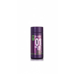 Salerm Pro-Line Volume Dust 01 (10gr)