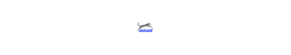 Catalogo di Jaguar di forbici professionali